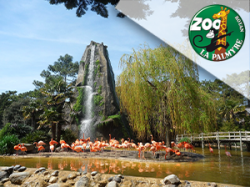 Zoo de Palmyre